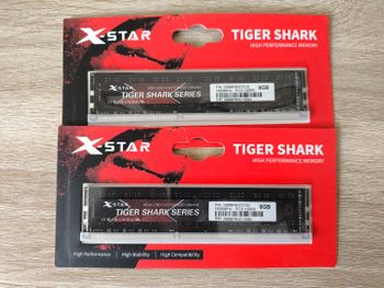 DDR3 RAM X-Star Tiger 8GB, 1,5V PC3 1600MHz
