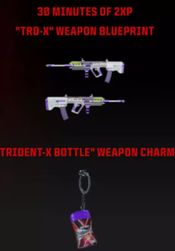 Call of Duty: Modern Warfare III - Trident Weapon Blueprint Skin + Charm (DLC) (PC/PSN/Xbox Live) Official Website Key GLOBAL