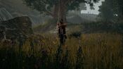 Buy PlayerUnknown's Battlegrounds Steam Key GLOBAL