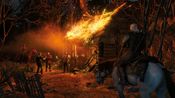 The Witcher 3: Wild Hunt GOTY XBOX LIVE Key TURKEY