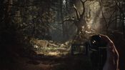 Redeem Blair Witch (PC) Steam Key UNITED STATES