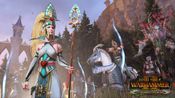 Total War: Warhammer II - The Queen & The Crone (DLC) Steam Key EUROPE