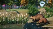 Planet Zoo: North America Animal Pack (DLC) (PC) Steam Key GLOBAL