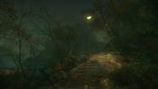 The Cursed Forest for sale