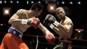 Buy Fight Night Champion (Xbox One) Xbox Live Key EUROPE