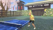 VR Ping Pong Paradise for sale