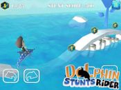 Buy Dolphin Stunt Rider