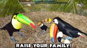 Ultimate Bird Simulator for sale