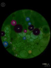Get Little Cells