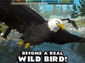 Redeem Ultimate Bird Simulator