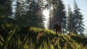 theHunter: Call of the Wild™ - Weapons and Companions Bundle (DLC) XBOX LIVE Key UNITED STATES