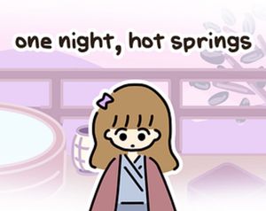 one night, hot springs