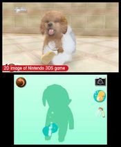 Buy nintendogs + cats: Golden Retriever & New Friends Nintendo 3DS