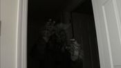 Get Fright Light