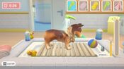 My Universe - Pet Clinic Cats & Dogs (PC) Steam Key GLOBAL