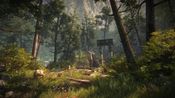 Get The Forest (PC) Steam Key EUROPE