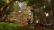 Buy Kingdoms of Amalur: Reckoning Xbox 360