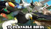 Buy Ultimate Bird Simulator