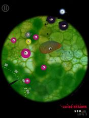 Little Cells for sale
