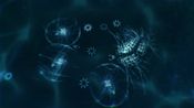 Sparkle ZERO Steam Key GLOBAL for sale