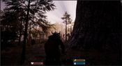 Get Einn