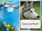 Redeem The Wildlife Creative Studio (PC) Steam Key GLOBAL