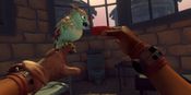 Buy Falcon Age