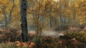 Buy The Elder Scrolls V: Skyrim Special Edition