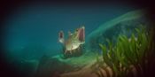 Redeem Feed and Grow: Fish
