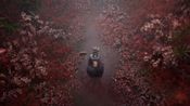 SILENT HILL f - Digital Deluxe Steam Key (PC) NORTH AMERICA for sale