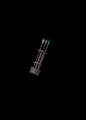 Fortnite - Hunting Quiver Back Bling (DLC) Epic Games Key GLOBAL