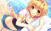 The Ditzy Demons Are in Love With Me (PC) Gog.com Key GLOBAL