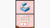 Big Brain Academy Nintendo DS for sale