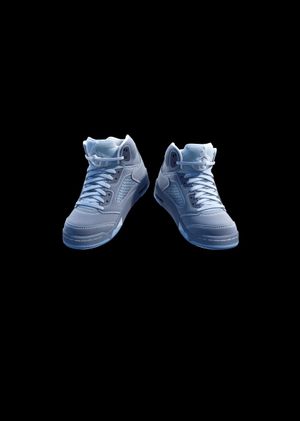 Fortnite - Air Jordan 5 Retro 'Wolf Grey' Shoes (DLC) Epic Games Key GLOBAL