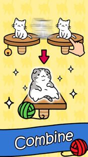Cat Condo