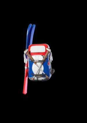 Fortnite - Mogul Ski Bag (KOR) Back Bling (DLC) Epic Games Key GLOBAL