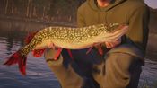 Fishing Sim World: Pro Tour + Quad Lake Pass XBOX LIVE Key ARGENTINA