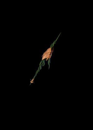 Fortnite - Cultivar Lance Pickaxe (DLC) Epic Games Key GLOBAL
