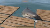 STRANDED RAFT SURVIVAL 2018! for sale