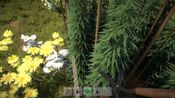 Weed Farmer Simulator Steam Key GLOBAL for sale