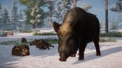 Get Planet Zoo: Eurasia Animal Pack (DLC) (PC) Steam Key GLOBAL