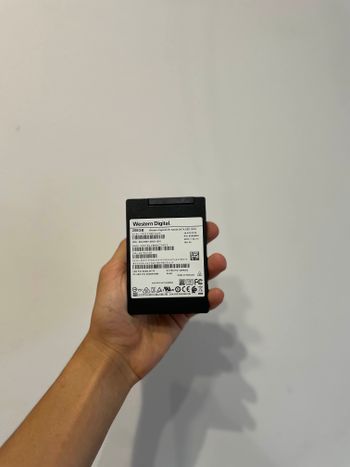 western digital 256 gb