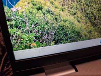 Dell Inspiron 14 Plus - 7440 Laptop