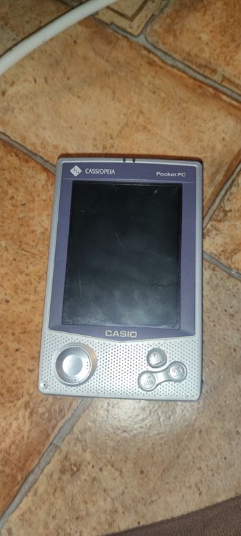 Cassiopeia Pocket Pc E-125