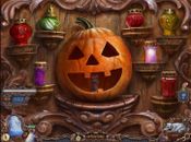 Witch Hunters: Full Moon Ceremony - Collector's Edition for sale