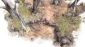 Redeem Paperbark