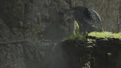 The Last Guardian PlayStation 4 for sale