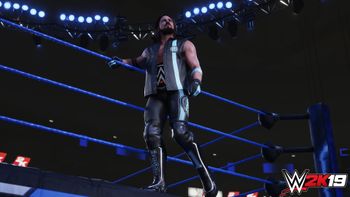 WWE 2K19 PlayStation 4 for sale