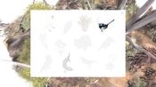Redeem Paperbark (PC) Steam Key GLOBAL