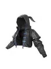PUBG: BATTLEGROUNDS - Moon Rabbit Jacket (DLC) Steam Key GLOBAL